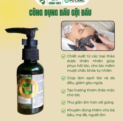 Dầu gội bơ gừng Pơ Lang
